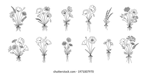 Wildflower line art bouquets set  Hand drawn flowers  meadow herbs  wild plants  botanical elements for design projects  Vector illustration 