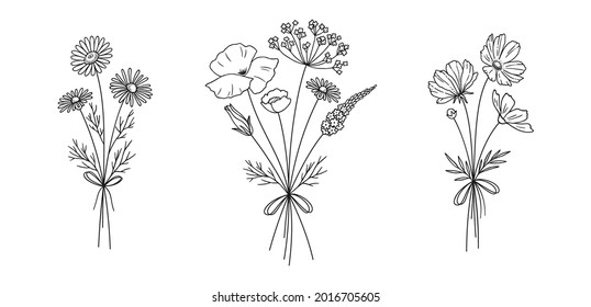 Wildflower line art bouquets set. Hand drawn chamomile, cosmea, poppy, other wild plants. Meadow flowers, herbs for design projects. Vector illustration.