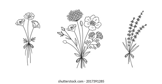 Wildflower line art bouquets set  Hand drawn poppy  lavender  other wild plants  Meadow flowers  herbs for design projects  Vector illustration 