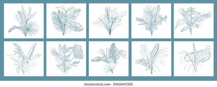 Wildflower line art bouquets set. Hand drawn flowers, meadow herbs, wild plants, tropical plants, botanical elements for design projects. Big set with flowers in frame, vector illustration.