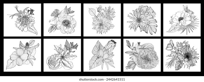 Wildflower line art bouquets set. Hand drawn flowers, meadow herbs, wild plants, tropical plants, botanical elements for design projects. Big set with flowers in frame, vector illustration.