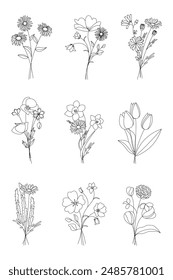 Conjunto de ramos de arte de flores silvestres. Flores dibujadas a mano, hierbas del prado, plantas silvestres, Elementos botánicos para arreglos, invitación, tarjetas de felicitación, arte de la pared, logotipo, diseño del tatuaje. Ilustración vectorial.