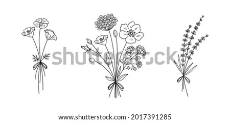 Similar – Image, Stock Photo A bunch of wildflowers in your hand. A bouquet woven from red poppies, blue cornflowers and daisies in full against the sky
