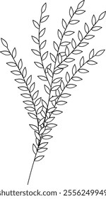 Wildflower line art. Flat isolated  hand drawn flowers. Minimalist style vector illustration