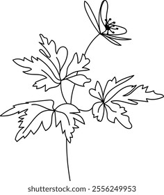 Wildflower line art. Flat isolated  hand drawn flowers. Minimalist style vector illustration