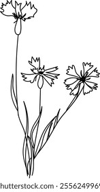 Wildflower line art. Flat isolated  hand drawn flowers. Minimalist style vector illustration