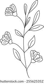Wildflower line art. Flat isolated  hand drawn flowers. Minimalist style vector illustration