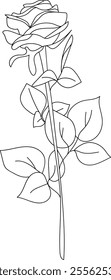 Wildflower line art. Flat isolated  hand drawn flowers. Minimalist style vector illustration