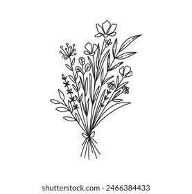 Wildflower line art. Hand drawn flowers, wild plants, botanical elements for design projects. Vector illustration