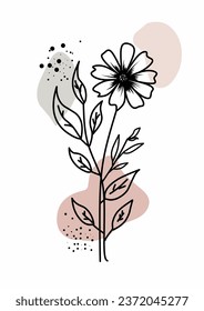 wildflower line art on white background