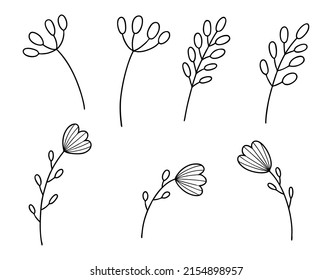 Wildflower line art set. Flower doodle botanical collection. Herbal and meadow plants, grass. Vector illustration isolated on white background.