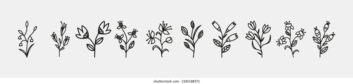 Wildflower line art set. Flower doodle botanical collection. Herbal and meadow plants, grass. Vector illustration isolated on white background. Chamomile, clover, daisy simple hand drawn elements.