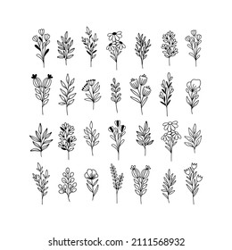 Wildflower line art vector set. Flower garden elegance botanical collection. Hand drawn herbal and meadow plants illustration on white background. Daisy, twigs botany, grass, branch for summer decor.