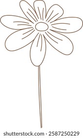 Wildflower Line Hand Drawn Vector Illustration