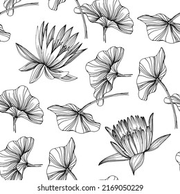 Wildflower lotus flower pattern in a one line style. Outline of the plant: Black and white engraved ink art lotos. Sketch wild flower for background, texture, wrapper pattern, frame or border.