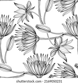 Wildflower lotus flower pattern in a one line style. Outline of the plant: Black and white engraved ink art lotos. Sketch wild flower for background, texture, wrapper pattern, frame or border.