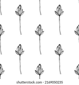 Wildflower lotus flower pattern in a one line style. Outline of the plant: Black and white engraved ink art lotos. Sketch wild flower for background, texture, wrapper pattern, frame or border.