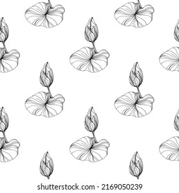 Wildflower lotus flower pattern in a one line style. Outline of the plant: Black and white engraved ink art lotos. Sketch wild flower for background, texture, wrapper pattern, frame or border.