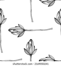 Wildflower lotus flower pattern in a one line style. Outline of the plant: Black and white engraved ink art lotos. Sketch wild flower for background, texture, wrapper pattern, frame or border.