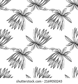 Wildflower lotus flower pattern in a one line style. Outline of the plant: Black and white engraved ink art lotos. Sketch wild flower for background, texture, wrapper pattern, frame or border.