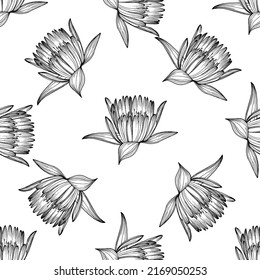 Wildflower lotus flower pattern in a one line style. Outline of the plant: Black and white engraved ink art lotos. Sketch wild flower for background, texture, wrapper pattern, frame or border.