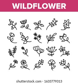 Wildflower Natural Collection Icons Set Vector. Wildflower Branch And Flower Bouquet, Blooming Nature Floral Botany Plant Concept Linear Pictograms. Monochrome Contour Illustrations