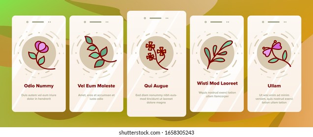 Wildflower Natural Onboarding Icons Set Vector. Wildflower Branch And Flower Bouquet, Blooming Nature Floral Botany Plant Illustrations