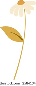 Wildflower On Stem Vector Illustration
