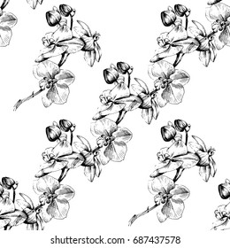 Wildflower orchid flower pattern in a vector style. Vector wild flower for background, texture, wrapper pattern, frame or border.