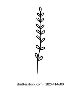 Wildflower outline hand drawn element. Herbs doodle botanical icon. Herbal and meadow plant, grass. Rustic blossom element for logo, wedding, print. Vector illustration isolated on white background.