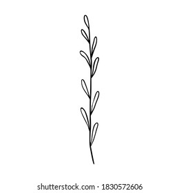 Wildflower outline hand drawn element. Herbs doodle botanical icon. Herbal and meadow plant, grass. Rustic blossom element for logo, wedding, print. Vector illustration isolated on white background.
