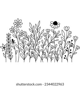 Wildflower Outline Illustration Leaf Plant Nature Border Ornament