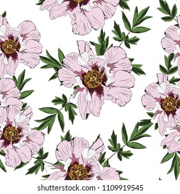 Wildflower peony flower seamless pattern  isolated on white background. Full name of the plant: peony. Wild flower for background, texture, wrapper pattern, invitation or textile.