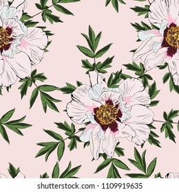 Wildblume, Blume, nahtloses Muster einzeln auf nacktem Hintergrund. Vollständiger Name der Pflanze: Pony. Wildblume für Hintergrund, Textur, Wrapper-Muster, Rahmen oder Rahmen, Einladung oder Textilien.