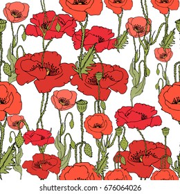 Padrão de flor de papoula de flores silvestres. Nome completo da planta: papoula, ópio. Flor selvagem vetorial para fundo, textura, padrão de empacotador, quadro ou borda.