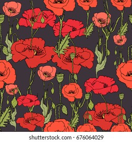 Wildflower poppy flower pattern. Full name of the plant: poppy, opium. Vector wild flower for background, texture, wrapper pattern, frame or border.