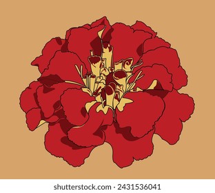 Flor silvestre en tonos rojos. Un brote floreciente con estambres amarillos. Vector, imagen plana, se puede utilizar como una decoración, o un regalo de vacaciones.