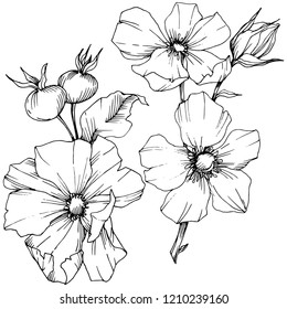 Wildflower rosa canina in a vector style isolated. Black and white engraved ink art. Vector flower for background, texture, wrapper pattern, frame or border.