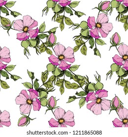 Wildflower rosa canina in a vector style isolated. Green and pink engraved ink art. Seamless background pattern. Fabric wallpaper print texture. Vector flower for background, wrapper pattern.