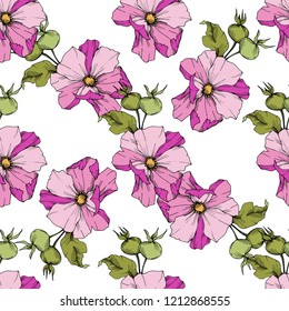 Wildflower rosa canina in a vector style isolated. Green and pink engraved ink art. Seamless background pattern. Fabric wallpaper print texture. Vector flower for background, wrapper pattern.