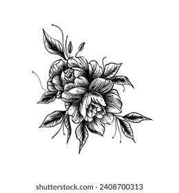 Wildflower Rose flower. Hand drawn botanical art isolated on white background. Floral illustration. flowers drawing vector illustration and line art.