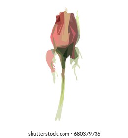 Wildflower rose flower in a vector style isolated. Full name of the plant: hulthemia. Vector wild flower for background, texture, wrapper pattern, frame or border.