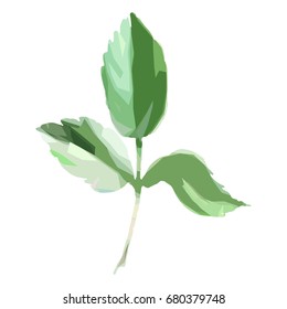 Wildflower rose leaf in a vector style isolated. Full name of the plant: hulthemia. Vector wild flower for background, texture, wrapper pattern, frame or border.