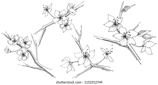 Wildflower sakura bloom flower in a vector style isolated. Full name of the plant:  Sakura bloom. Vector wildflower for background, texture, wrapper pattern, frame or border.