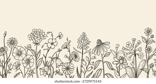 Wildflower seamless border with hand drawn meadow blooms, daisy and bellflower for vintage poster, rustic invitation botanical template. Isolated vector sketch banner.