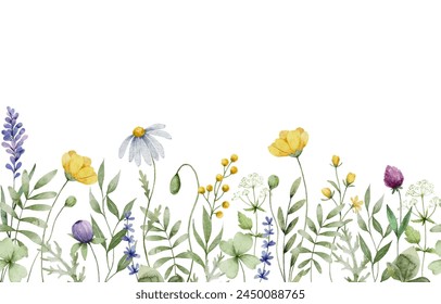 Wildflower Seamless Horizontal Border with Beautiful Meadow Flower	