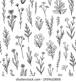 Wildflower seamless pattern with outline florals. Retro style print design with hand drawn doodle flowers in black and white colors. Simple field floral patterns for packaging, fabric design.