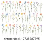 Wildflower set. Flat style. Botanical element. Isolated spring plant set on white background for nursery design, branding, sticker, textile, packaging and stationery.