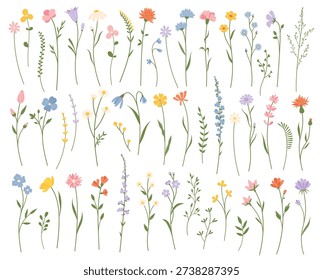 Wildflower set. Flat style. Botanical element. Isolated spring plant set on white background for nursery design, branding, sticker, textile, packaging and stationery.