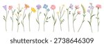 Wildflower set. Flat style. Minimalist botanical element. Isolated spring plant set on white background for nursery design, branding, sticker, textile, packaging and stationery.